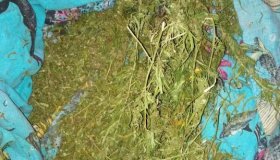 Пресечена контрабанда наркотических веществ из Испании в Саратовскую область